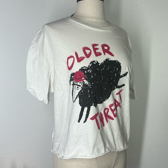 Next Level Apparel Tops - Older Threat crop top shirt size large